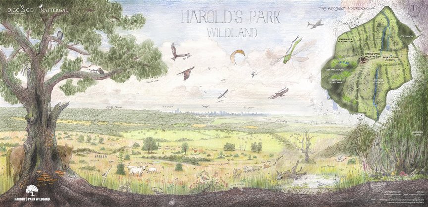 Harold's Park Wildland  The Project Masterplan Eine Skizze der renaturierten Landschaft