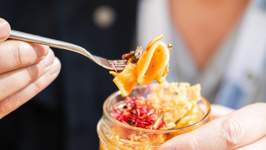 Insekten als Nahrung ein Bissen mit Nudeln und Larven wird von einer Hand mit Gabel gehalten